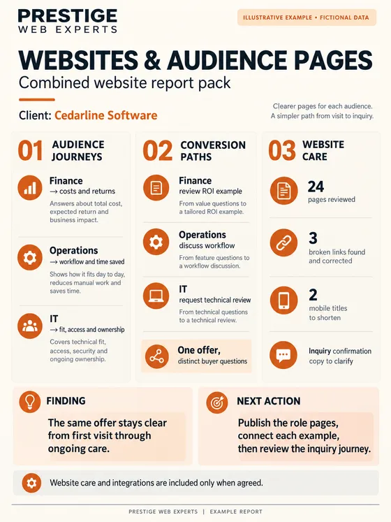 Illustrative Websites and Audience Pages combined report pack showing fictional audience journeys, conversion paths and website care work.